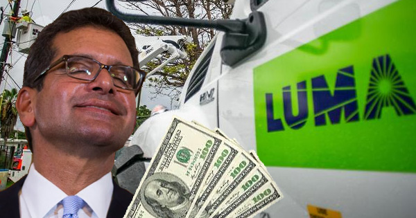 luma pierluisi